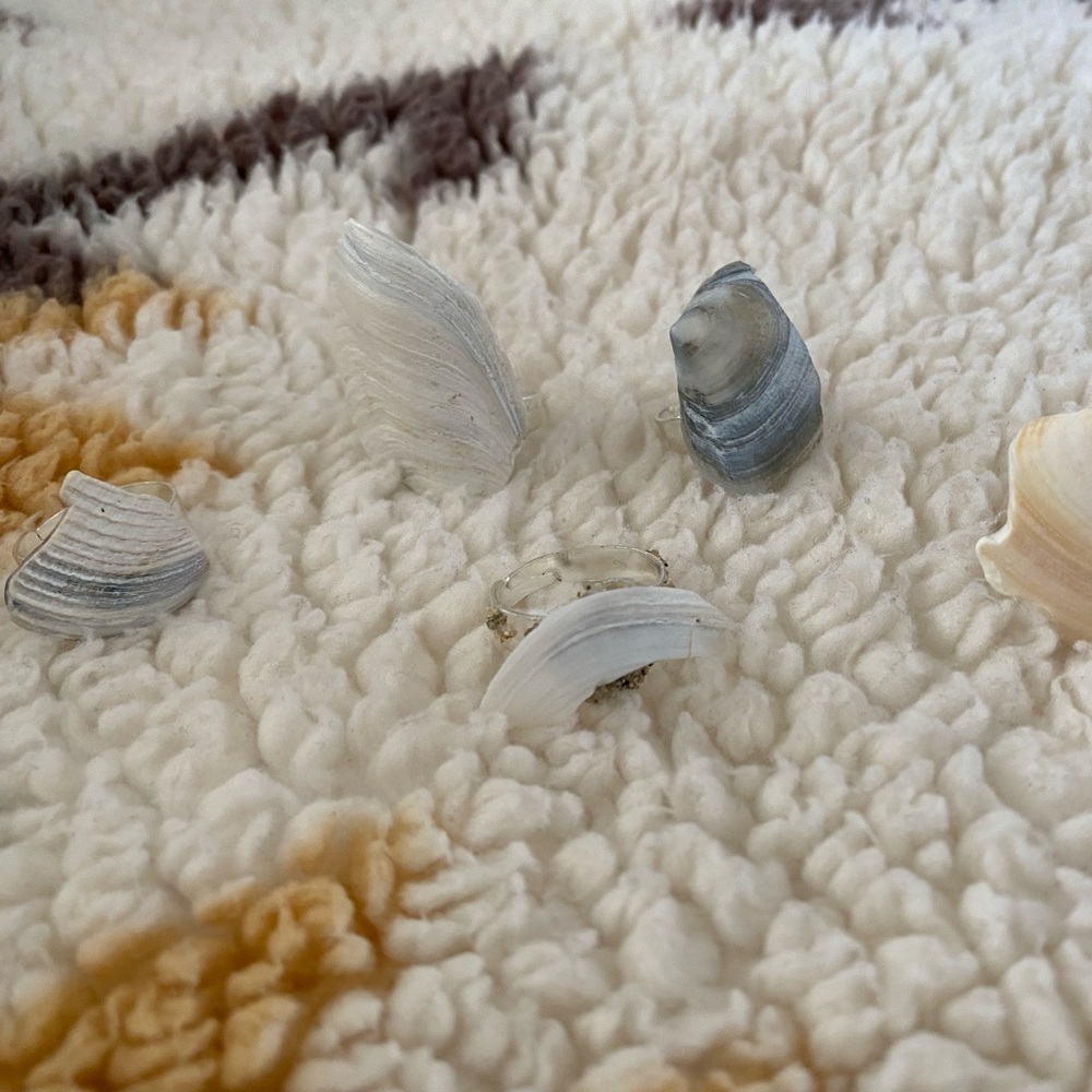 Seashell 🐚 Rings